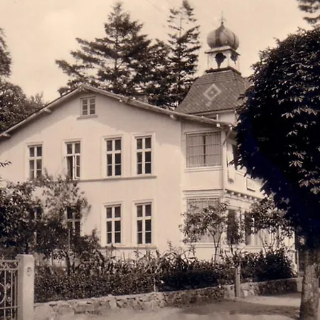 Libelle By Callsen Binz